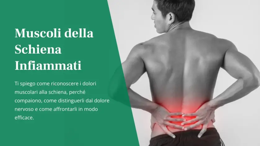 muscoli-schiena-infiammati-Uomo di spalle a torso nudo con zona lombare evidenziata in rosso per indicare l'infiammazione muscolare
