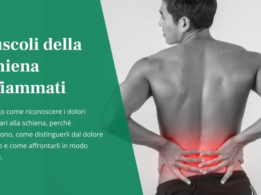 muscoli-schiena-infiammati-Uomo di spalle a torso nudo con zona lombare evidenziata in rosso per indicare l'infiammazione muscolare