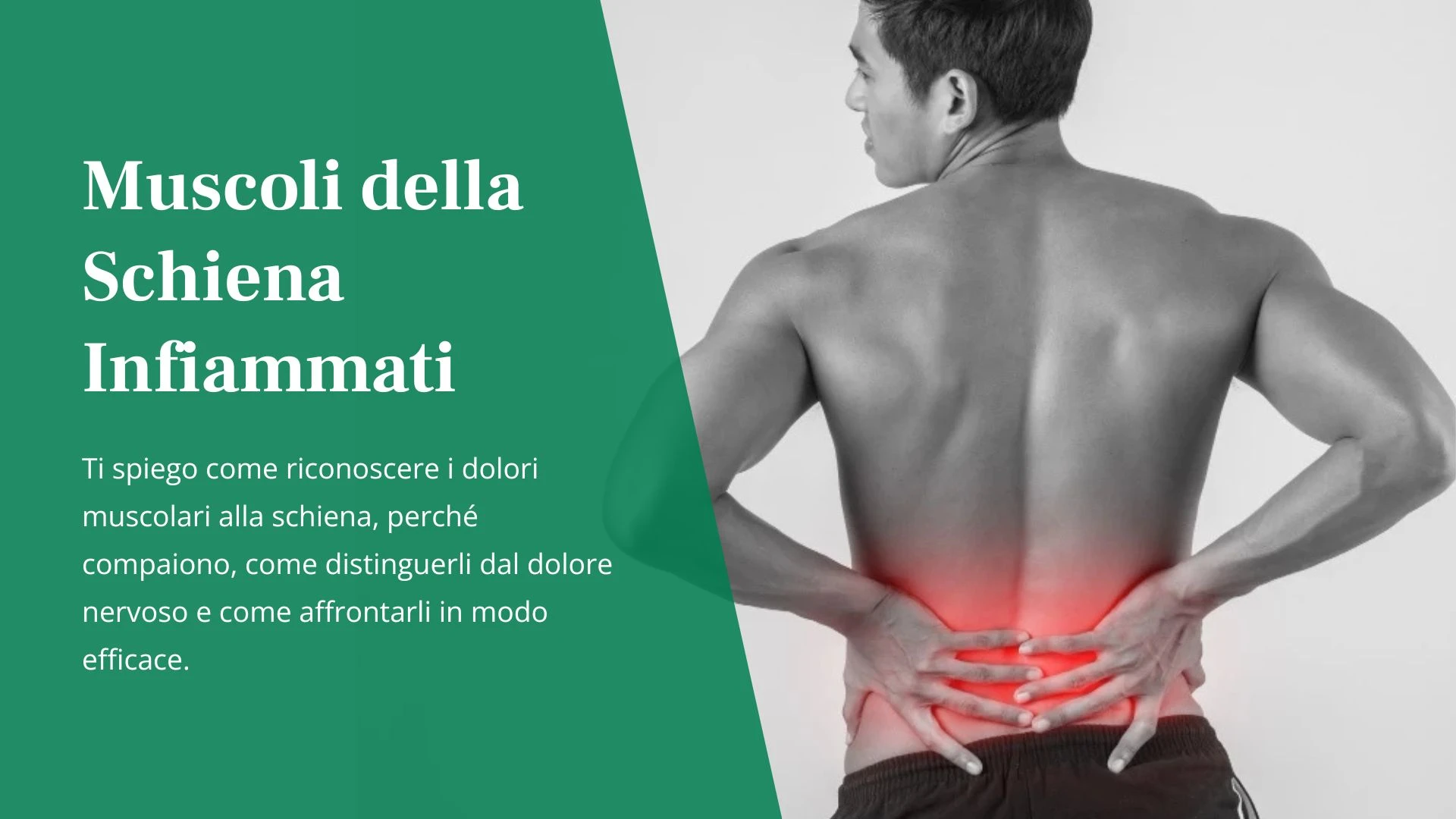 muscoli-schiena-infiammati-Uomo di spalle a torso nudo con zona lombare evidenziata in rosso per indicare l'infiammazione muscolare